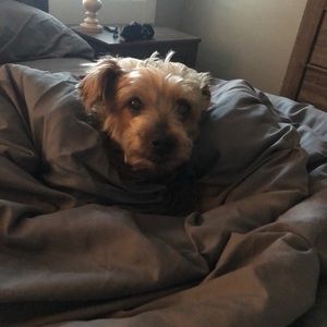 Meet your Posher, Crystal